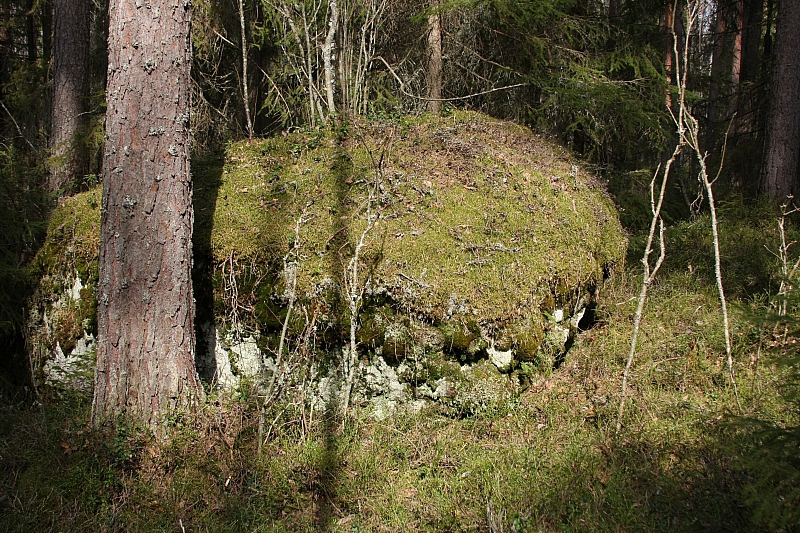 IMG 2355