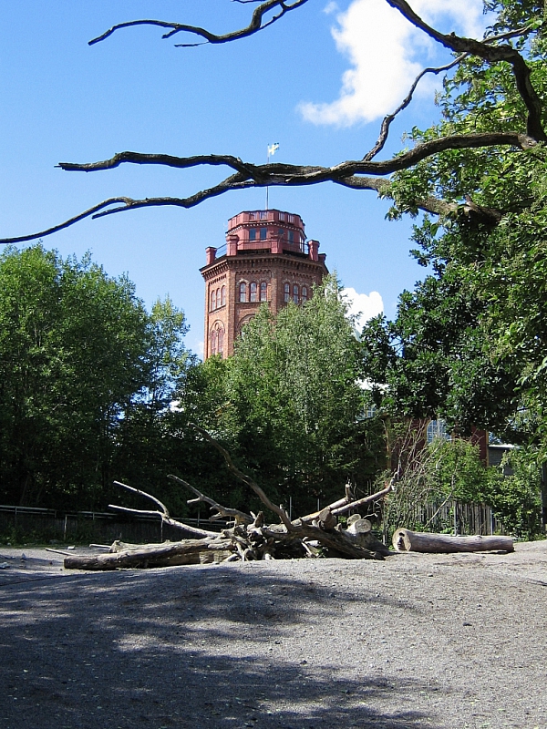 2008-08-13 14-46-22