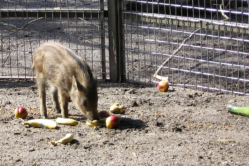 2008-08-13 14-55-50