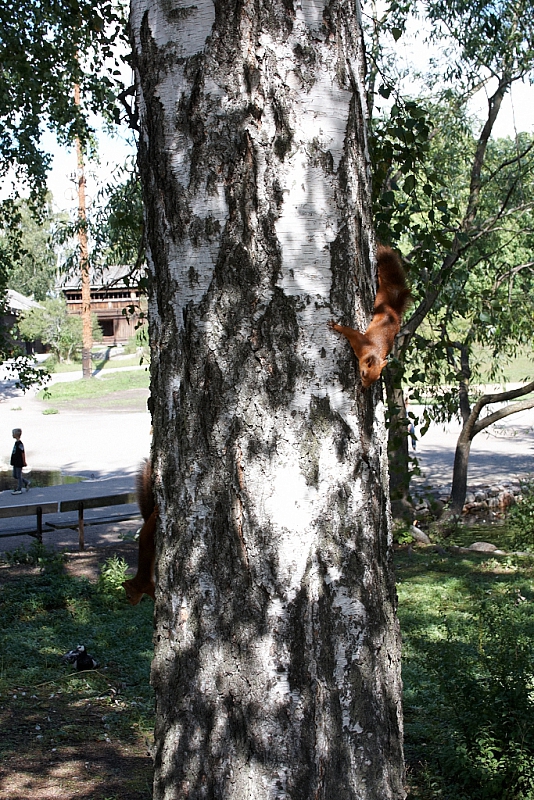 2008-08-13 16-15-43