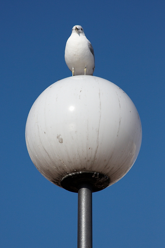 2008-08-15 18-32-34
