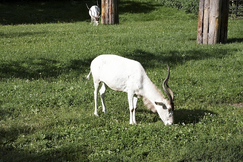 2009-07-13 19-13-09