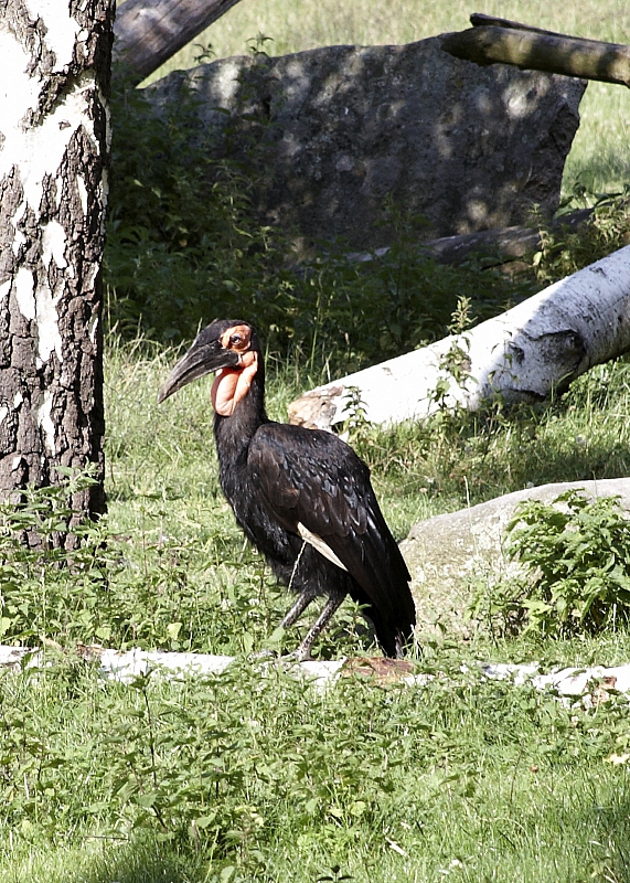 2009-07-13 19-28-49