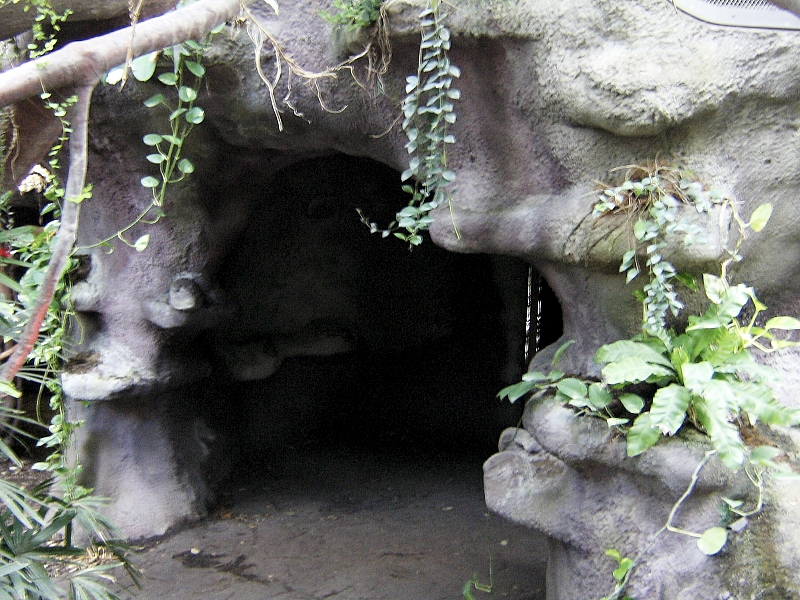 2009-07-13 20-58-32