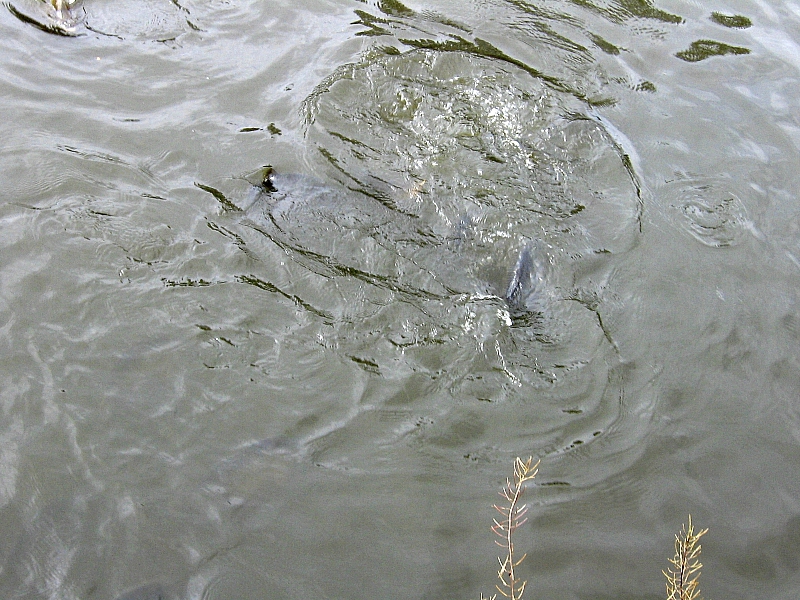 2009-07-15 13-40-14