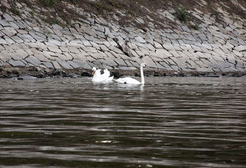 2009-07-16 22-58-06 1