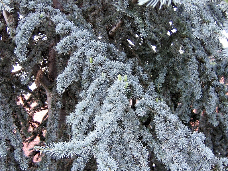 2009-07-14 21-20-07