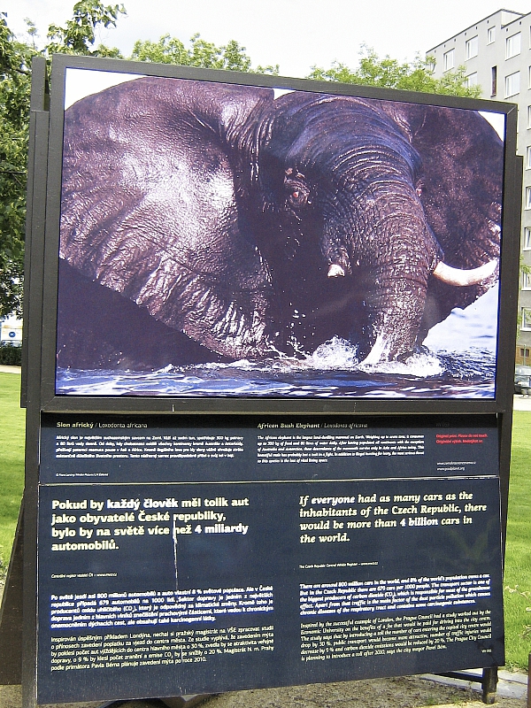 2009-07-12 17-22-58 1