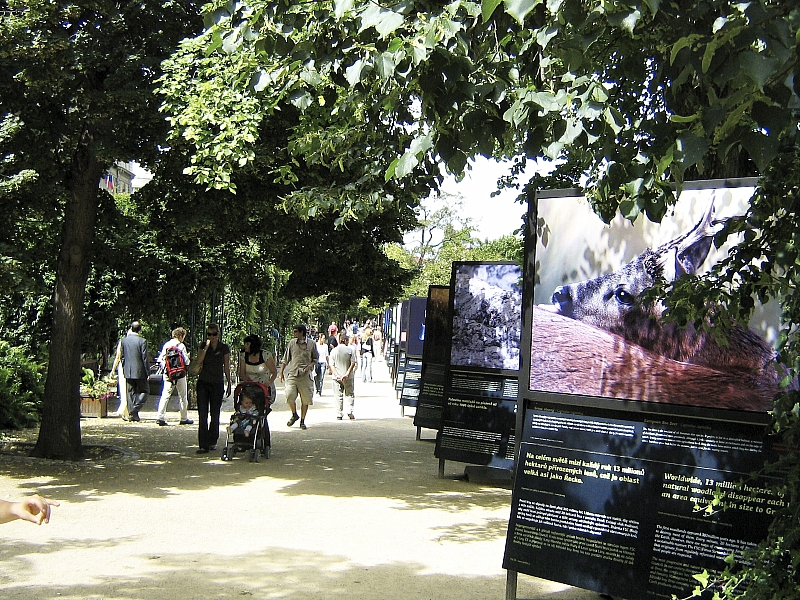 2009-07-12 17-23-22