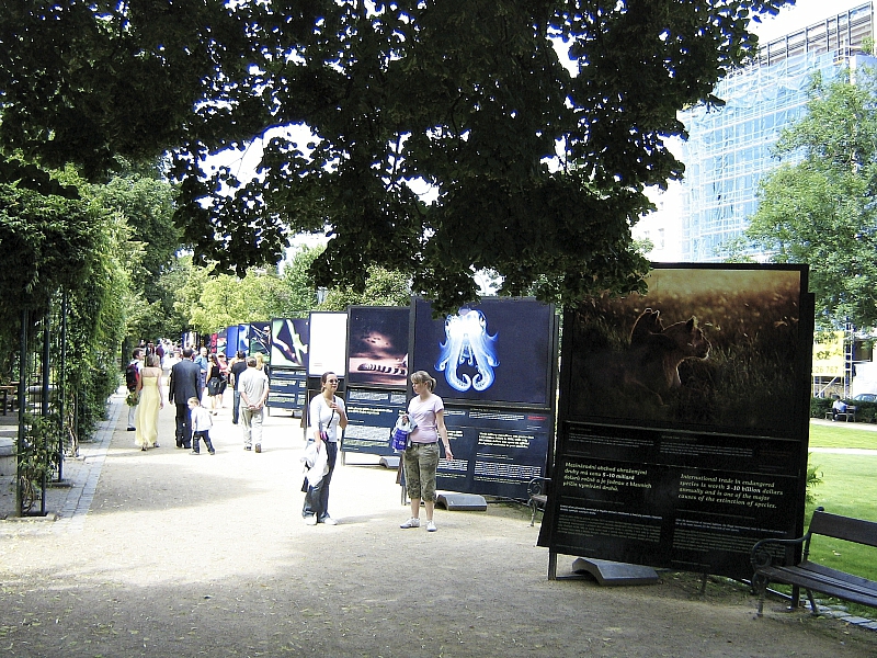 2009-07-12 17-23-48