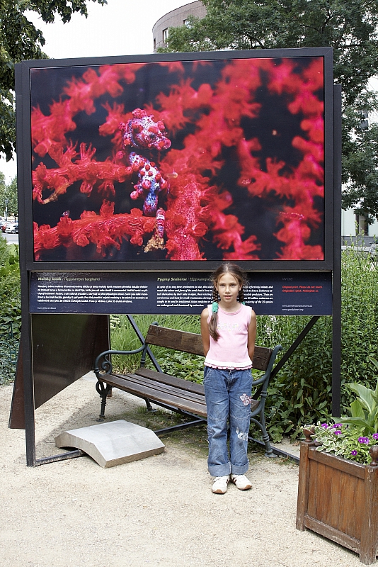 2009-07-12 17-29-13 1