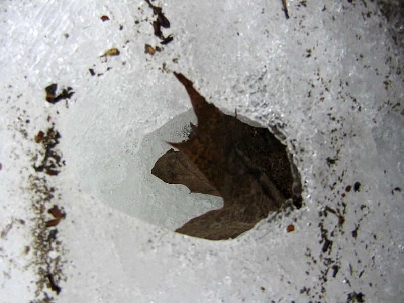 2010-05-01 11-46-17