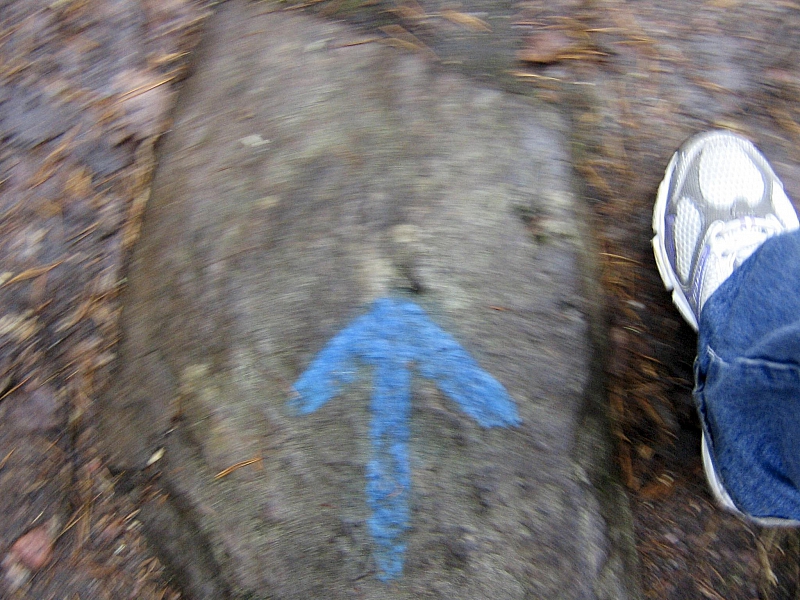2010-05-01 11-56-42