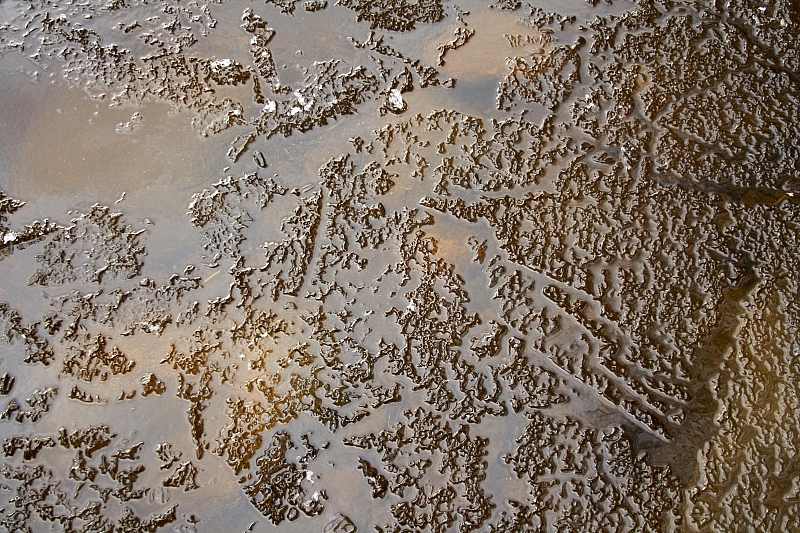 2010-05-01 19-08-05
