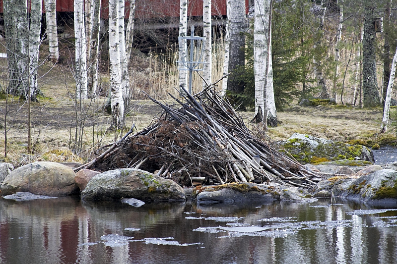 2010-05-01 19-14-13