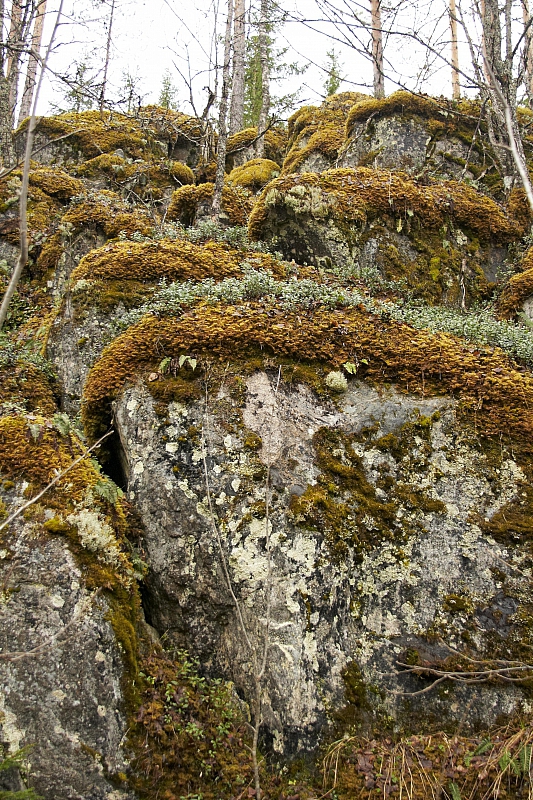 2010-05-02 18-46-42