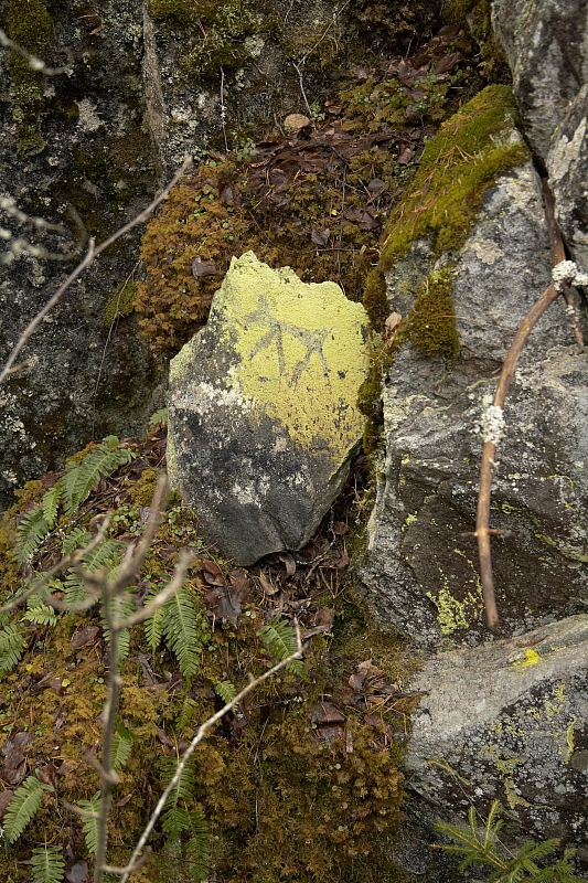 2010-05-02 18-47-02