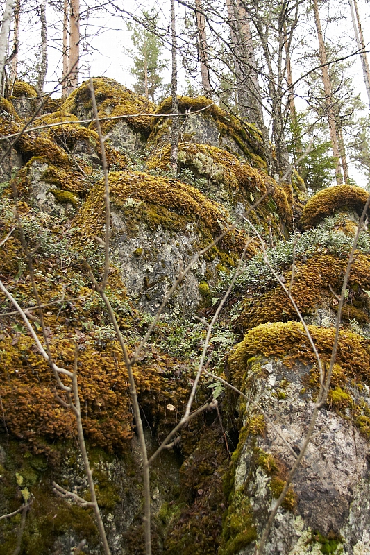 2010-05-02 18-47-14