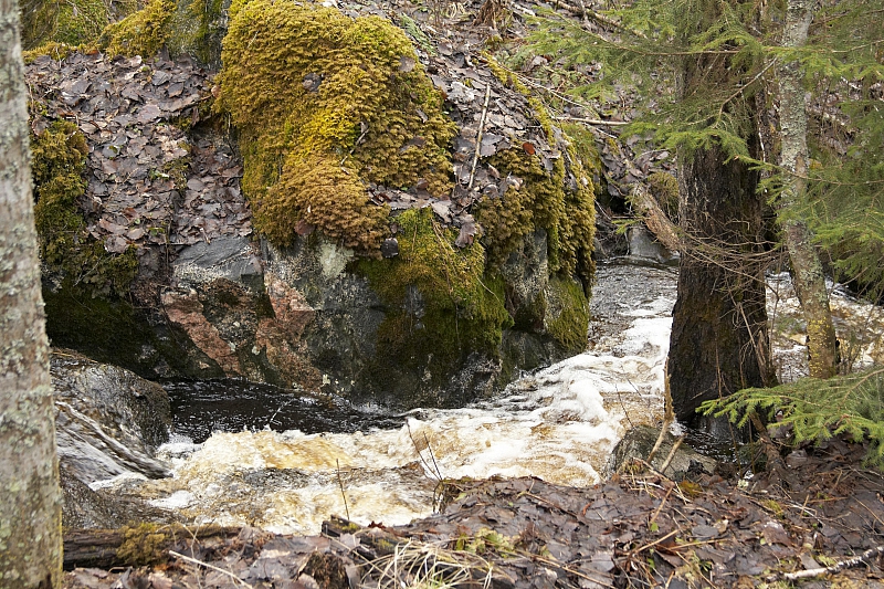 2010-05-02 19-00-36