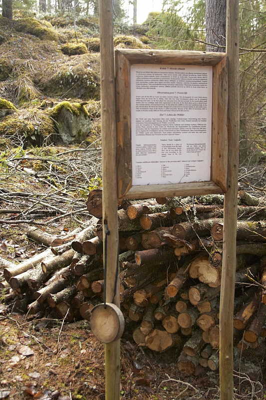 2010-05-02 19-21-39