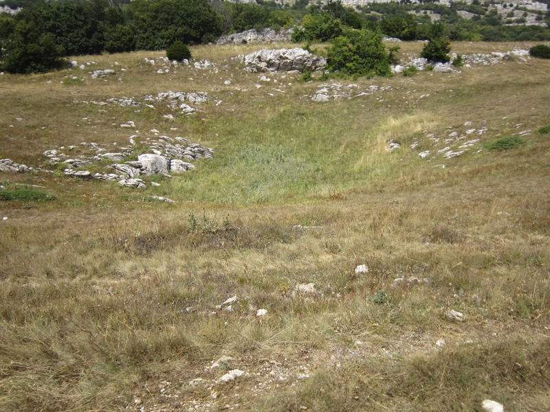 2015-08-16 14-02-09