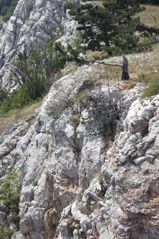 2015-08-16 14-20-04