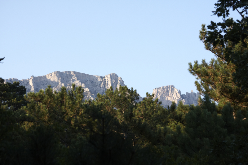 2015-08-15 19-37-08