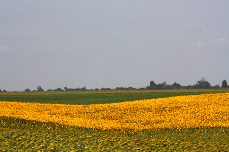 2012-07-23 10-35-09