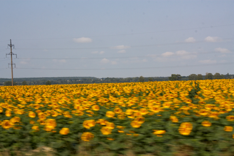 2012-07-23 10-48-58