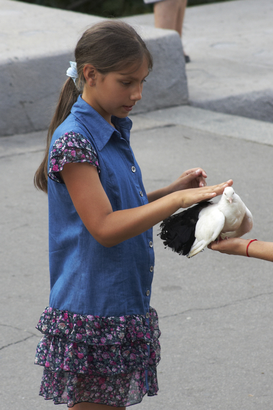 2012-07-27 19-43-06