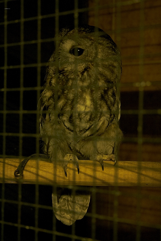 2011-05-21 23-02-48