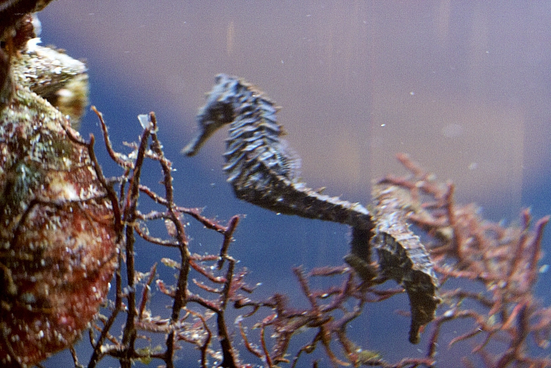 2011-03-13 15-10-16 Oc126