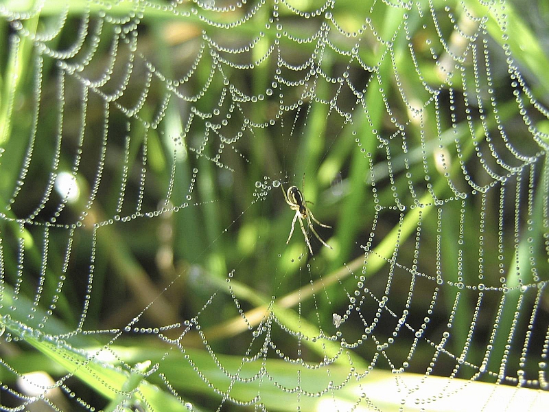 2009-09-13 10-37-41