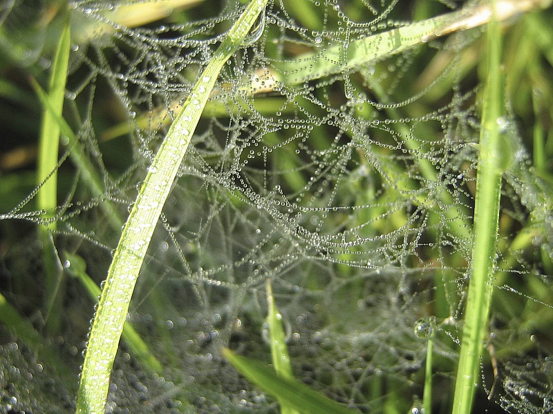 2009-09-13 10-38-00