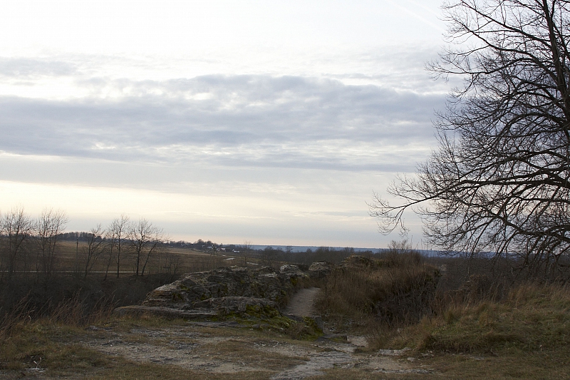 2008-11-08 16-12-49