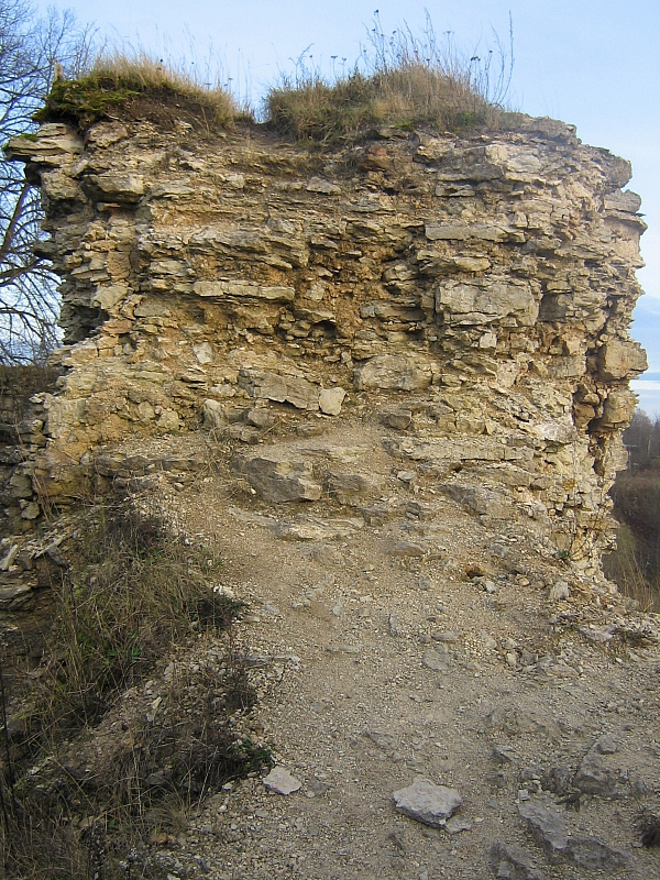 2008-11-08 17-10-02