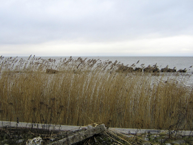 2008-11-04 15-47-19