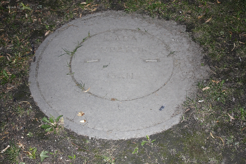 Вена
