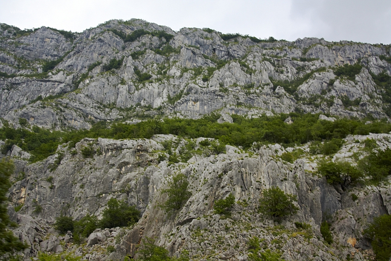 2010-07-01 13-05-38