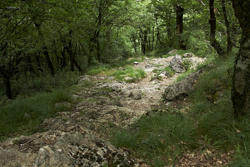 2010-07-01 13-32-25