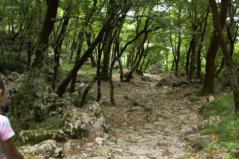 2010-07-01 15-20-42