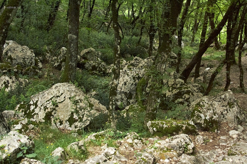 2010-07-01 15-20-48