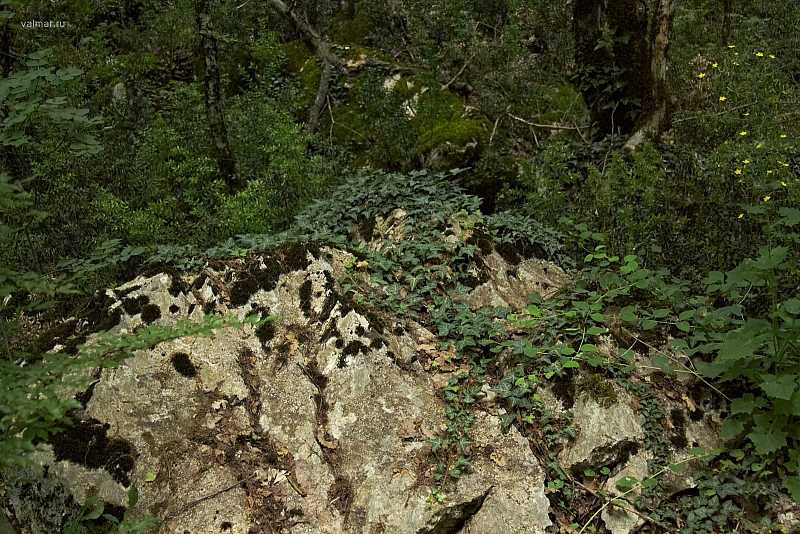 2010-07-01 15-28-45