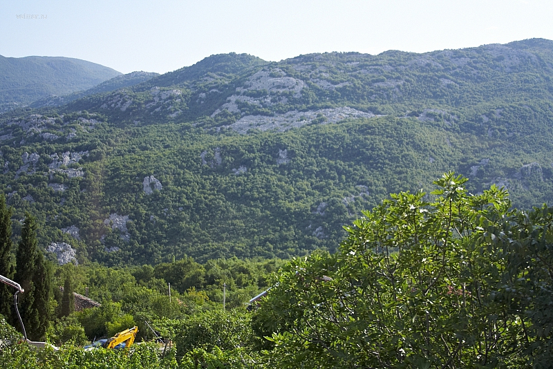 2010-07-01 19-19-02