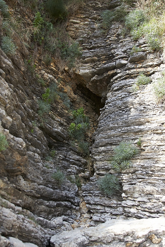 2010-07-02 17-07-20