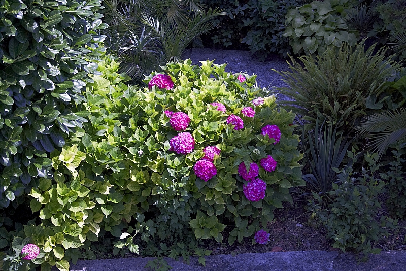 2010-07-04 12-10-34