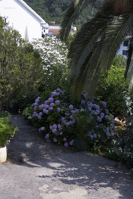2010-07-04 12-10-58
