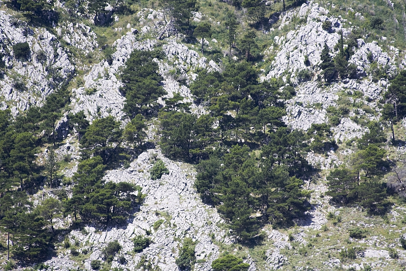 2010-07-06 12-18-40