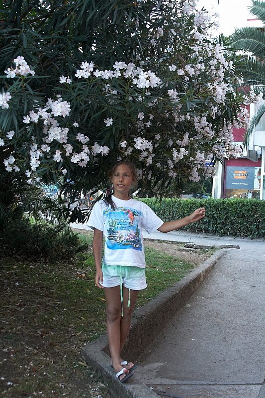 2010-07-09 20-59-13