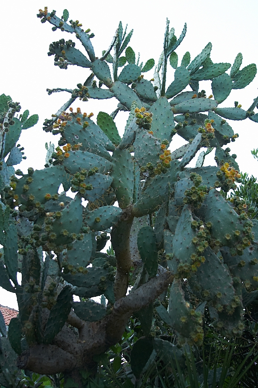 2010-07-09 21-26-02
